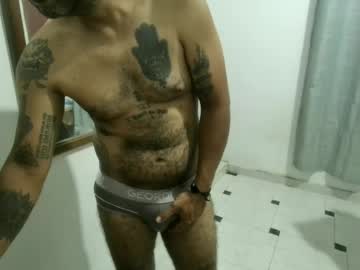 hollerstevan