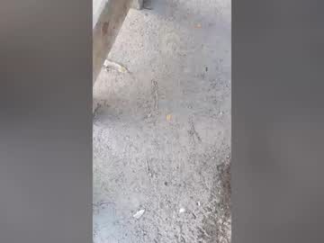 laportesebastian28