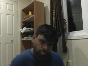 sundoog