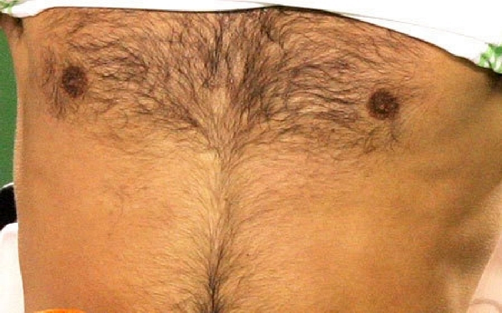 bears and very hairy men — 18
